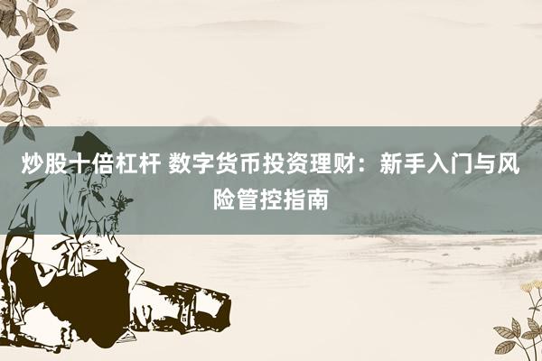 炒股十倍杠杆 数字货币投资理财：新手入门与风险管控指南
