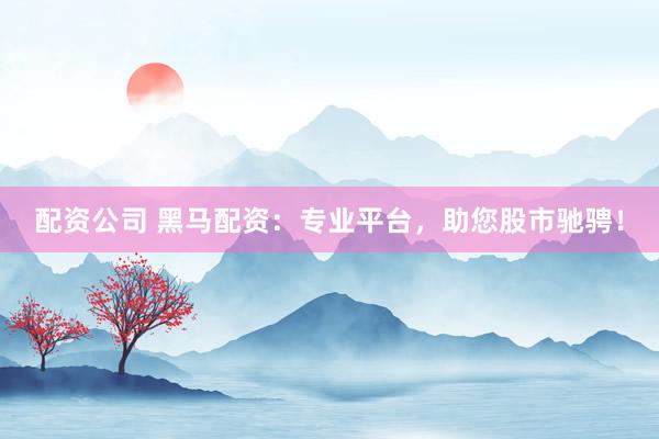 配资公司 黑马配资：专业平台，助您股市驰骋！