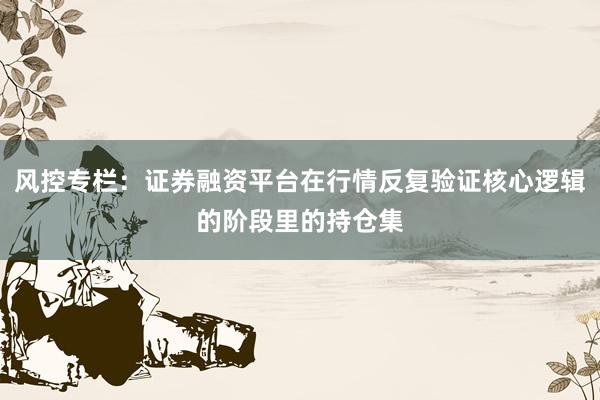 风控专栏：证券融资平台在行情反复验证核心逻辑的阶段里的持仓集