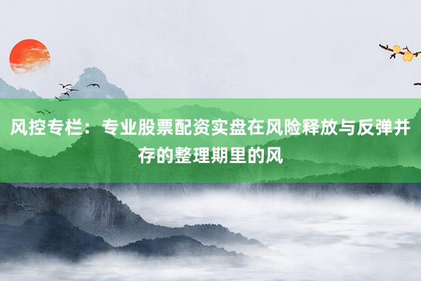 风控专栏:专业股票配资实盘在风险释放与反弹并存的整理期里的风