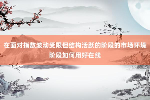 在面对指数波动受限但结构活跃的阶段的市场环境阶段如何用好在线