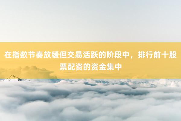 在指数节奏放缓但交易活跃的阶段中，排行前十股票配资的资金集中
