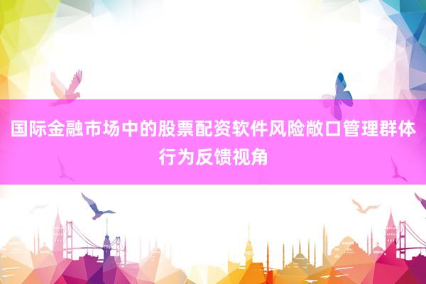 国际金融市场中的股票配资软件风险敞口管理群体行为反馈视角