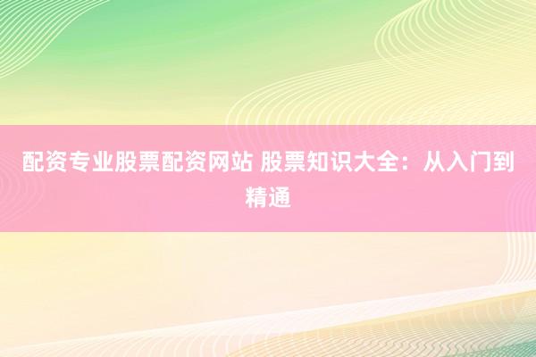配资专业股票配资网站 股票知识大全:从入门到精通